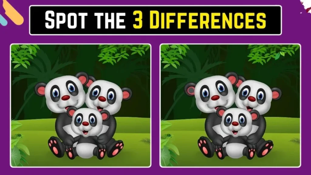 spot the difference panda, optical illusion panda puzzle, find 3 differences game, brain teaser challenge, visual puzzle test, sharp eyes challenge, iq test puzzle, viral optical illusion, observation skills test, mind games puzzle, tricky puzzles online, focus and concentration test