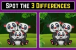 spot the difference panda, optical illusion panda puzzle, find 3 differences game, brain teaser challenge, visual puzzle test, sharp eyes challenge, iq test puzzle, viral optical illusion, observation skills test, mind games puzzle, tricky puzzles online, focus and concentration test