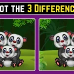 spot the difference panda, optical illusion panda puzzle, find 3 differences game, brain teaser challenge, visual puzzle test, sharp eyes challenge, iq test puzzle, viral optical illusion, observation skills test, mind games puzzle, tricky puzzles online, focus and concentration test